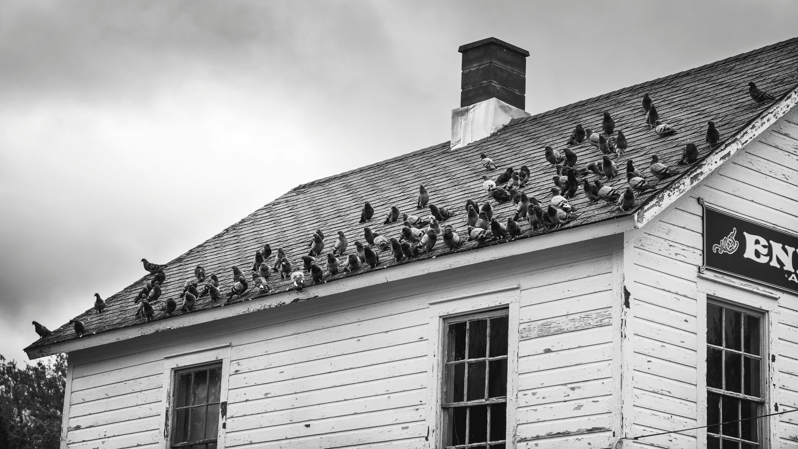 alfred hitchcock thriller